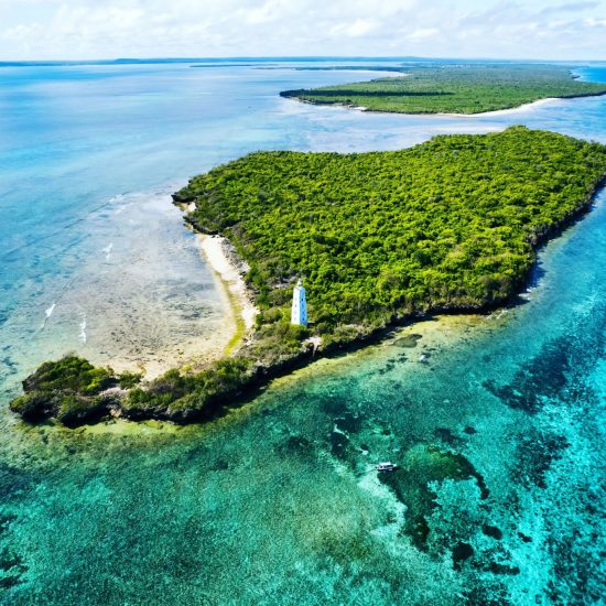 Dream Dhow Cruise - 3